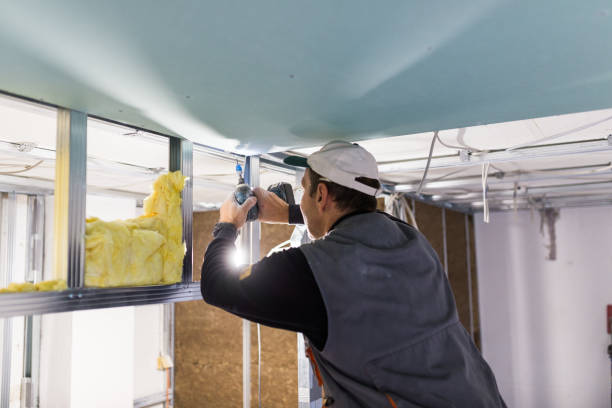 Best Cellulose Insulation in Barberton, OH